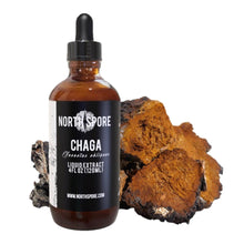 Load image into Gallery viewer, North Spore Chaga Mushroom Tincture
