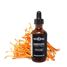 Load image into Gallery viewer, North Spore Cordyceps Mushroom Tincture
