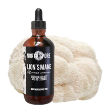 Load image into Gallery viewer, North Spore Lion&#39;s Mane Mushroom Tincture
