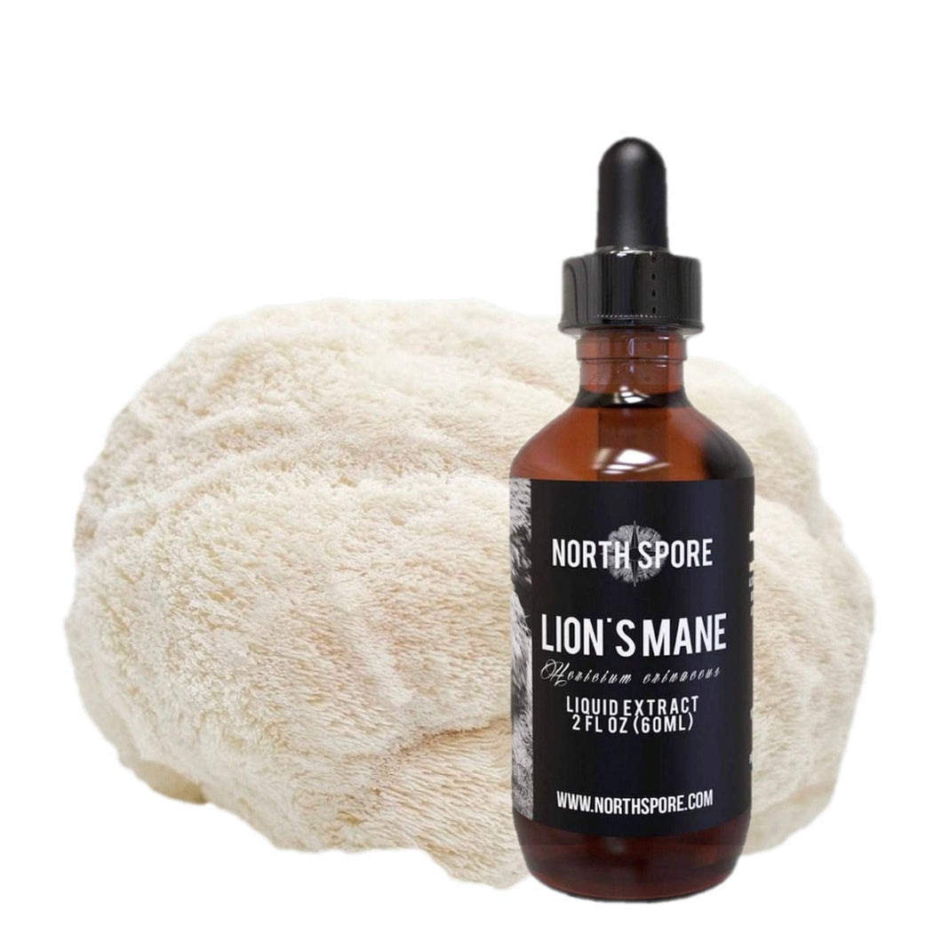 North Spore Lion's Mane Mushroom Tincture