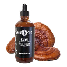 Load image into Gallery viewer, North Spore Reishi Mushroom Tincture
