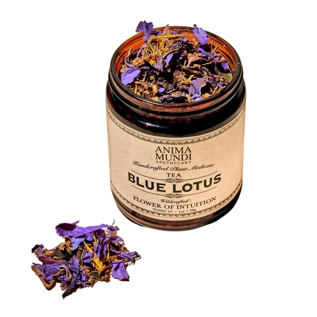 Blue Lotus Tea - 4-Jars Pack - Anima Mundi Herbals | Farm2Me Wholesale
