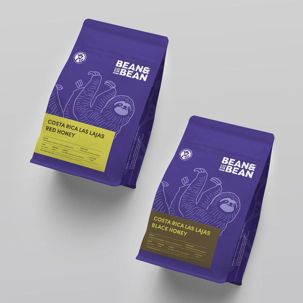 Bean & Bean Coffee Roasters - Costa Rica Honey Duo by Bean & Bean Coffee Roasters - | Delivery near me in ... Farm2Me #url#