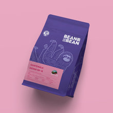 Load image into Gallery viewer, Bean &amp; Bean Coffee Roasters - Santa Felisa Gesha Washed Coffee by Bean &amp; Bean Coffee Roasters - | Delivery near me in ... Farm2Me #url#
