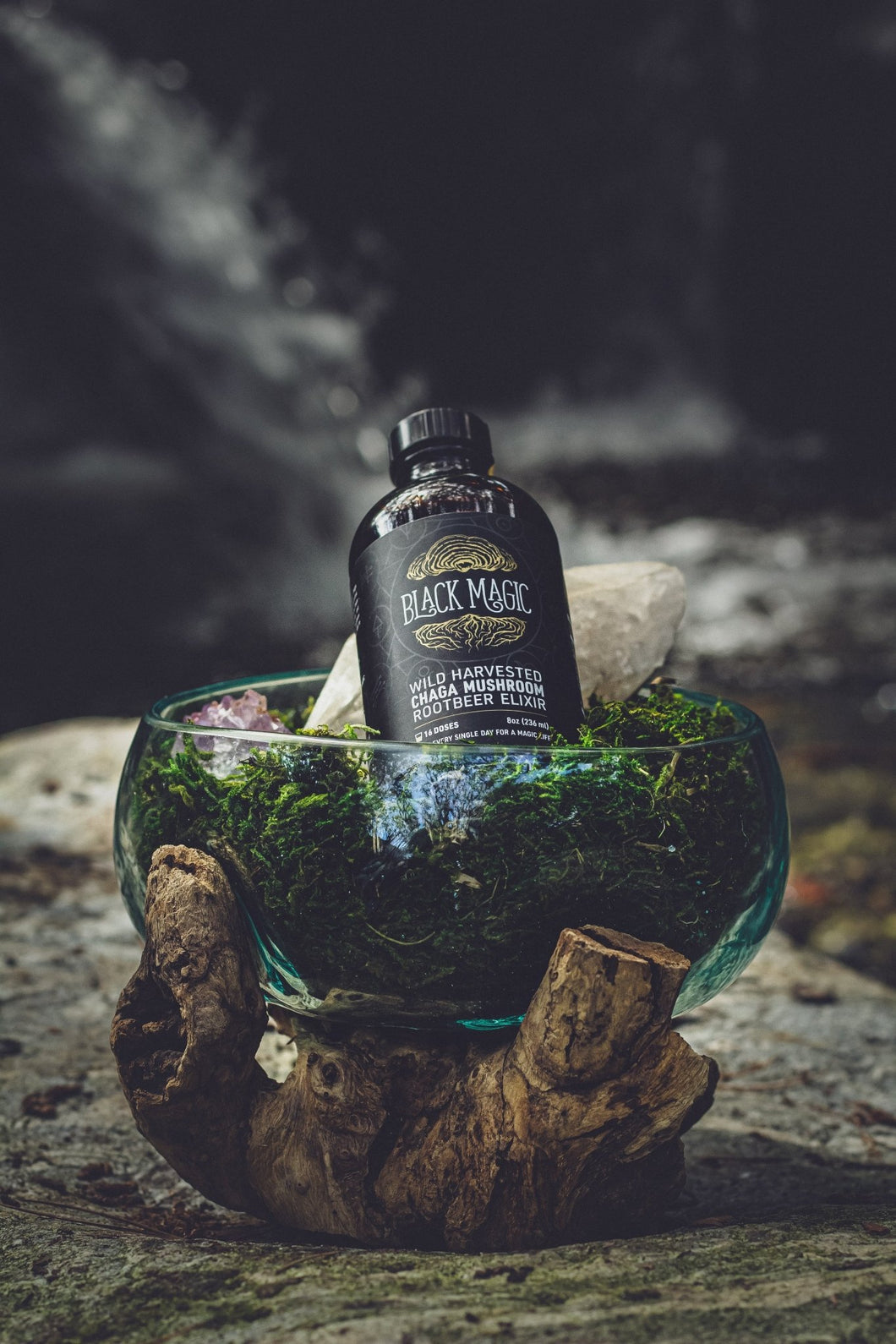Black Magic Alchemy - Wild Harvested Chaga Mushroom Rootbeer Elixir by Black Magic Alchemy - | Delivery near me in ... Farm2Me #url#