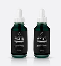 Load image into Gallery viewer, Chlorophyll Water - 2 Pack: Chlorophyll Water Drops: SUPER CONCENTRATE Liquid Chlorophyll (240 Servings) with Electrolytes and Vitamins by Chlorophyll Water - | Delivery near me in ... Farm2Me #url#
