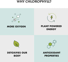Load image into Gallery viewer, Chlorophyll Water - Chlorophyll Water® (2 Cases/24 Bottles) Purified Mountain Spring Water with Essential Vitamins by Chlorophyll Water - | Delivery near me in ... Farm2Me #url#
