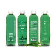 Load image into Gallery viewer, Chlorophyll Water - Chlorophyll Water® (Case of 6): Purified Mountain Spring Water with Essential Vitamins by Chlorophyll Water - | Delivery near me in ... Farm2Me #url#
