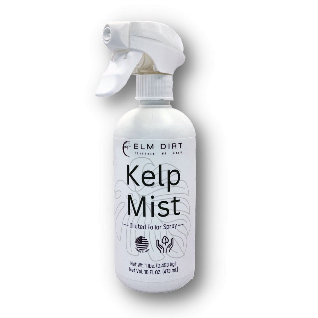 Elm Dirt - Kelp Mist by Elm Dirt - Farm2Me - carro-6361693 - -