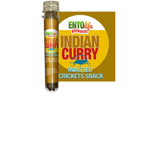 Entosense - Indian Curry Roasted Cricket Snack Tubes - 6 x 10g - Snacks | Delivery near me in ... Farm2Me #url#