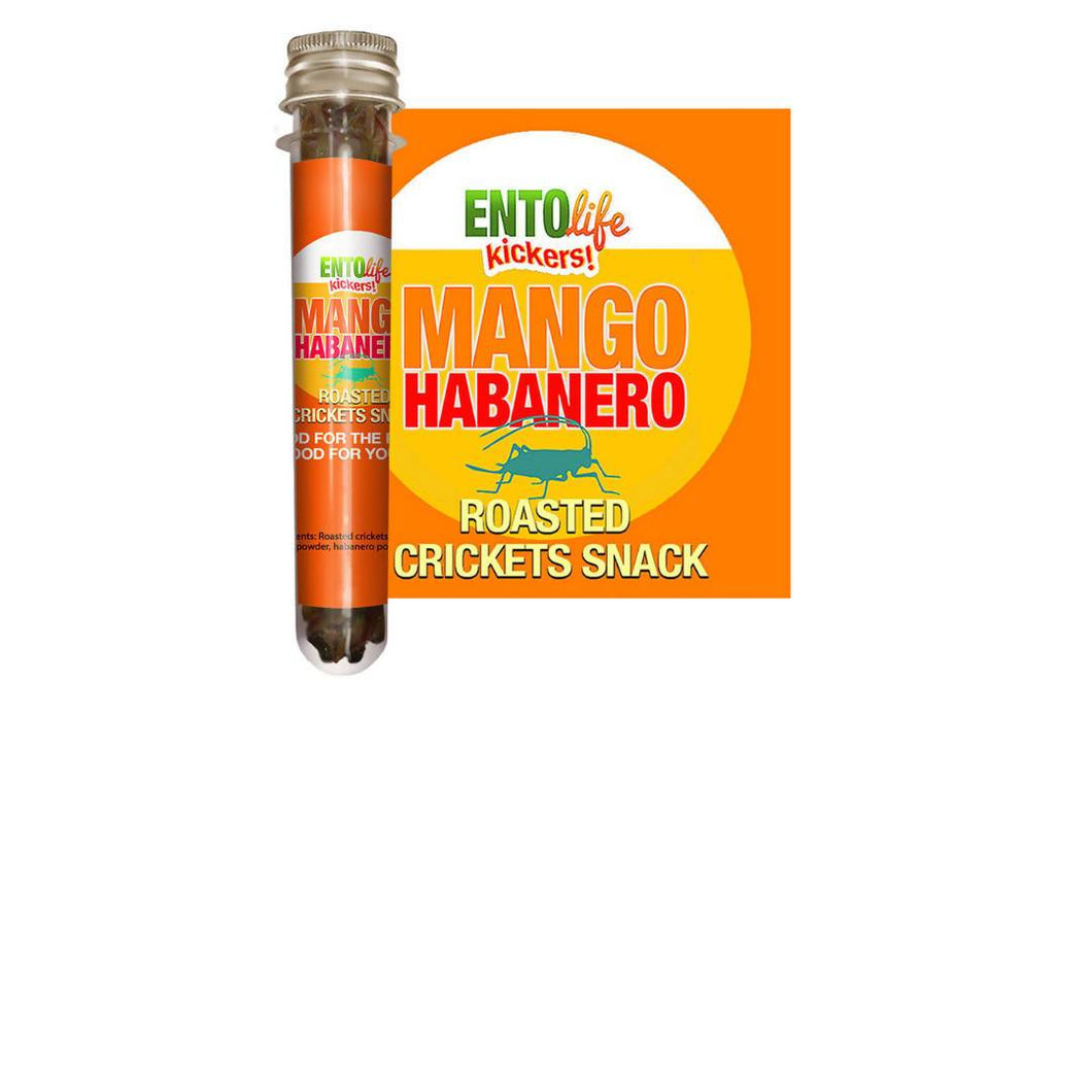 Entosense - Mango Habanero Roasted Cricket Snack Tubes - 6 x 10g - Snacks | Delivery near me in ... Farm2Me #url#