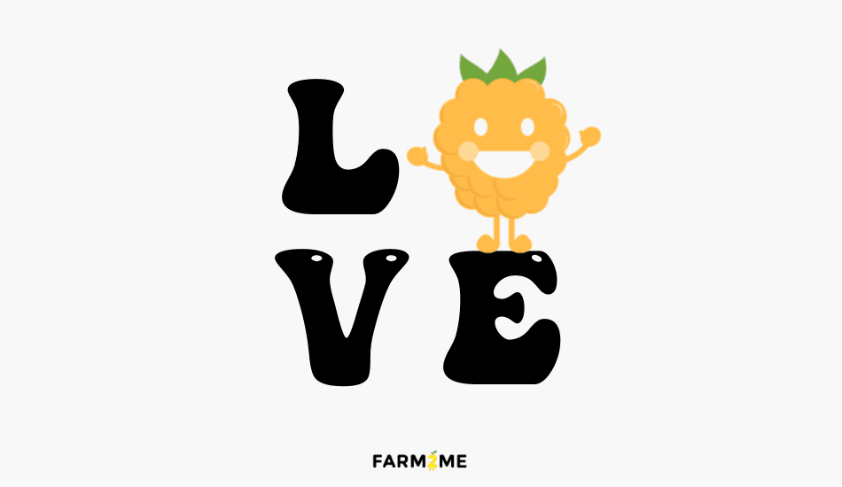 Farm2Me - Farm2Me Gift Card - Gift Card - Farm2Me - -