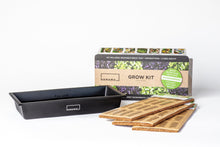 Load image into Gallery viewer, Hamama - Microgreen Starter Kit by Hamama - | Delivery near me in ... Farm2Me #url#
