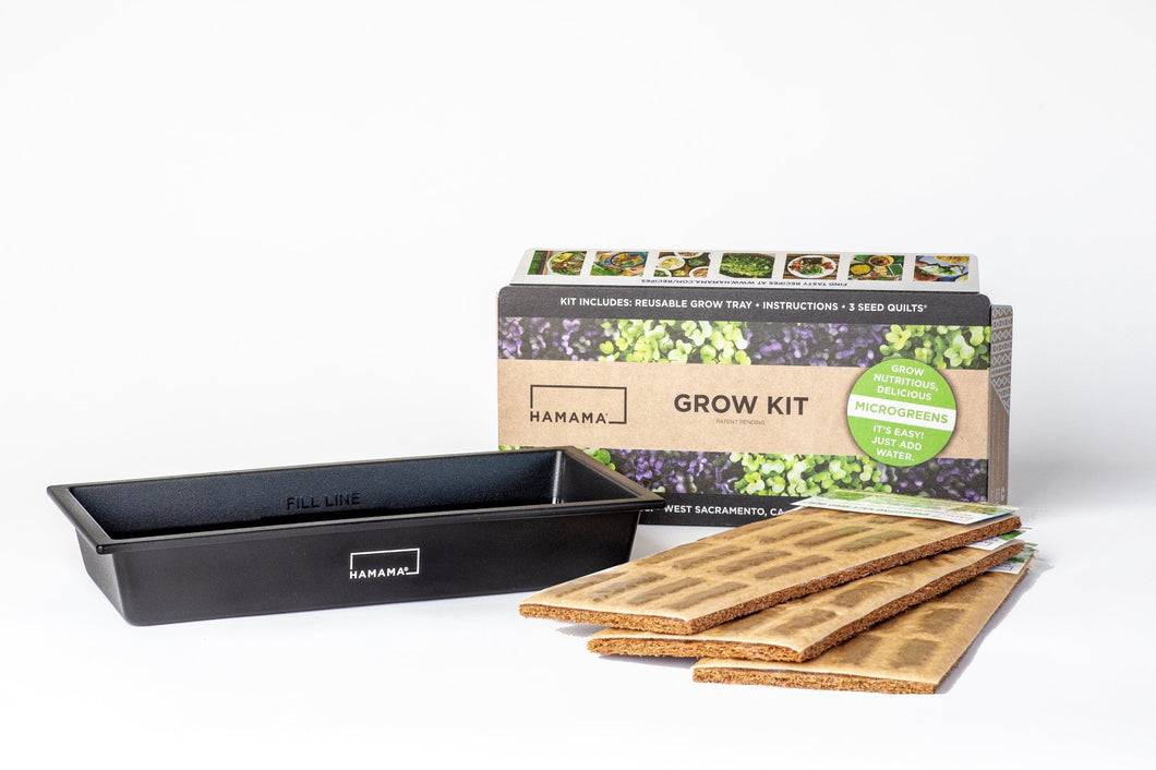 Hamama - Microgreen Starter Kit by Hamama - | Delivery near me in ... Farm2Me #url#
