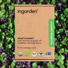 Load image into Gallery viewer, ingarden - Calcium Booster (Red Cabbage) Superfood by ingarden - | Delivery near me in ... Farm2Me #url#
