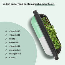 Load image into Gallery viewer, ingarden - Magnesium &amp; Folate Booster (Radish Mix) Superfood by ingarden - | Delivery near me in ... Farm2Me #url#
