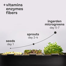 Load image into Gallery viewer, ingarden - Superfood Mix by ingarden - | Delivery near me in ... Farm2Me #url#
