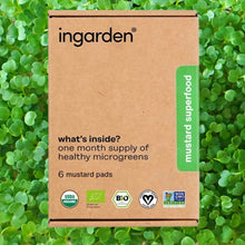 Load image into Gallery viewer, ingarden - Zinc Booster (Mustard) Superfood by ingarden - | Delivery near me in ... Farm2Me #url#
