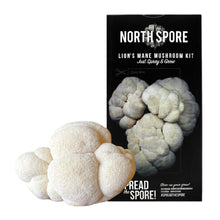Load image into Gallery viewer, North Spore - North Spore&#39;s Organic Lion&#39;s Mane ‘Spray &amp; Grow’ Mushroom Growing Kit - Fresh Exotic Certified Organic Mushrooms - Farm2Me - carro-6426507 - 851555008306 -
