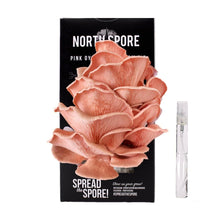 Load image into Gallery viewer, North Spore - Organic Pink Oyster ‘Spray &amp; Grow’ Mushroom Growing Kit by North Spore - | Delivery near me in ... Farm2Me #url#
