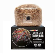 Load image into Gallery viewer, North Spore - Organic Sterilized Grain Bag with Injection Port by North Spore - Fresh Exotic Certified Organic Mushrooms - Farm2Me - carro-6426509 - 869275000289 -
