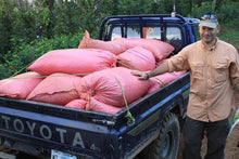 Load image into Gallery viewer, Nossa Familia Coffee - Nicaragua - Finca San Jose de las Nubes - Natural Process by Nossa Familia Coffee - | Delivery near me in ... Farm2Me #url#
