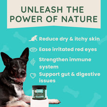 Load image into Gallery viewer, Rusty&#39;s Pet Essentials - Daily Defense - Allergy &amp; Immune Support by Rusty&#39;s Pet Essentials - | Delivery near me in ... Farm2Me #url#
