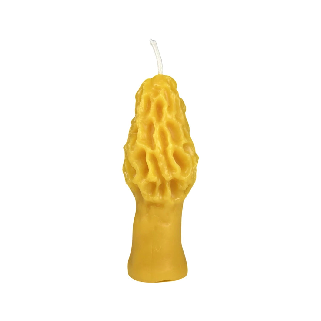 Sister Bees - 100% Pure Beeswax Morel Mushroom Candle by Sister Bees - Farm2Me - carro-6364851 - -