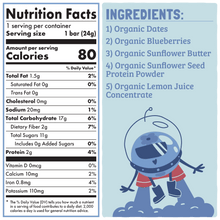 Load image into Gallery viewer, Skout Organic - Skout Organic Blueberry Blast Kids Bar by Skout Organic - | Delivery near me in ... Farm2Me #url#
