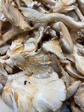 Load image into Gallery viewer, Smoking Goose - house pickled Korean BBQ oyster mushrooms - PS grab &amp; go | Delivery near me in ... Farm2Me #url#
