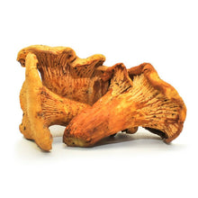 Load image into Gallery viewer, The Mushroom Hub - Dried Wild Mushrooms Assortment - Dried Wild Mushrooms | Delivery near me in ... Farm2Me #url#
