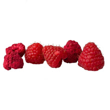 Load image into Gallery viewer, The Rotten Fruit Box - Freeze Dried Raspberry Snack by The Rotten Fruit Box - Farm2Me - carro-6366991 - 5600811500031 -
